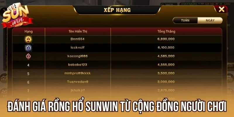 Đánh giá Rồng Hổ Sunwin từ cộng đồng người chơi